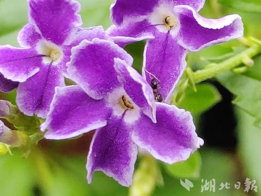 云顶集团优惠活动大厅
